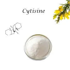 Cytisine Sephorine Alternative Transdermal Patch 25mg of Over 30 Hours