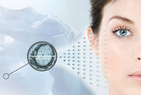 Hyaluronic Acid 50% Bleaching Gel 16.9oz